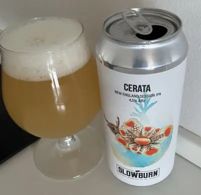 Reubs's photo of Cerata