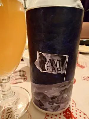 TomHendriksen's photo of Giant Leap #2