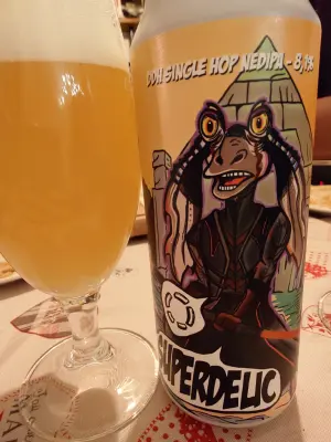 TomHendriksen's photo of Superdelic