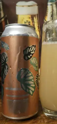 drpimento's photo of Endless Bummer - Citra