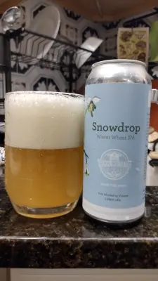 Clarkvv's photo of Snowdrop