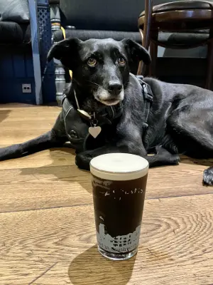 Grumbo's photo of Beamish Irish Stout