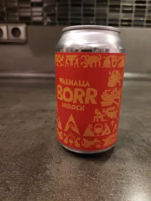 Zlotta's photo of Borr