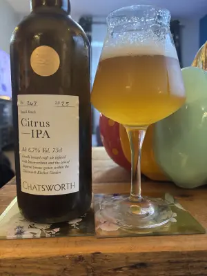Mr_Pink_152's photo of Citrus IPA