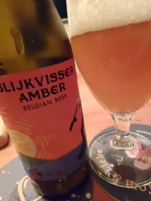 TomHendriksen's photo of Slijkvisser Amber