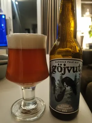 Arsol's photo of Göjvut