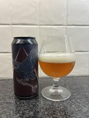 CraftBeerNick's photo of Endless Flight