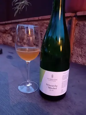 Sebletitje's photo of Scheurebe / Mirabel 23/04