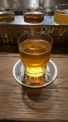 Gurthnar's photo of Lambic Infused with Matcha Tea