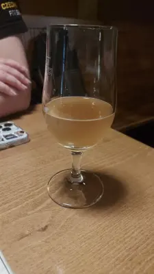 Gurthnar's photo of Lambic Infused with Birch Bark