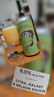 BeerPlace's photo of Barracuda