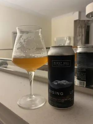 CraftBeerNick's photo of Rising Up