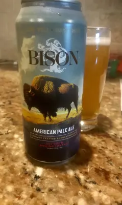 CLW's photo of Bison