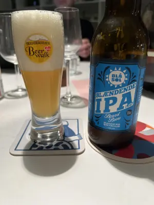 Grumbo's photo of Blå Sol Blændende IPA