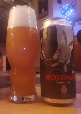 stevoj's photo of Mothman