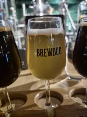 Lubiere's photo of Wingman Session IPA