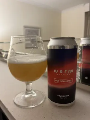 CraftBeerNick's photo of Bouncy Ride