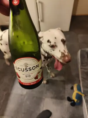 minutemat's photo of Bio Cidre Brut