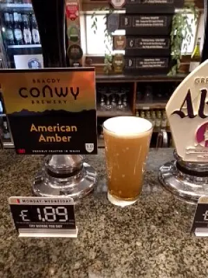 Deanso's photo of American Amber