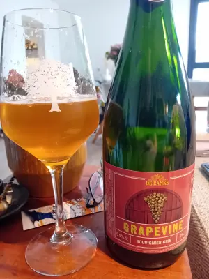 Sebletitje's photo of Grapevine - Souvignier Gris