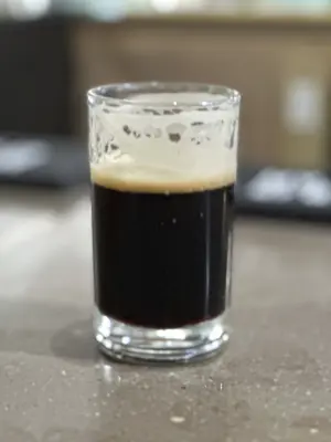 PLohbauer's photo of Chocolate Porter