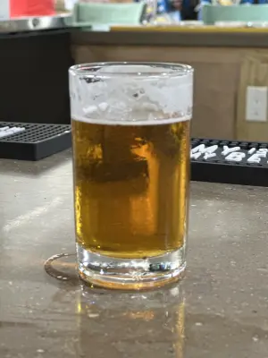 PLohbauer's photo of IPA