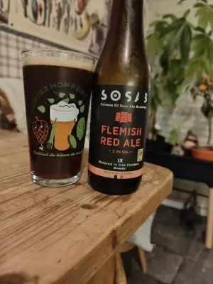 minutemat's photo of XII Flemish Red Ale (5.2%)