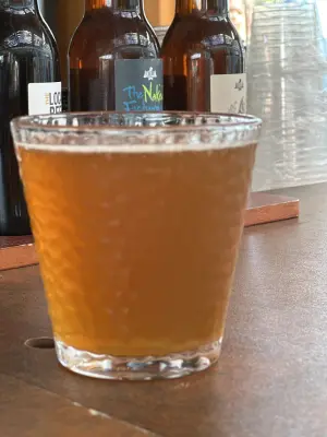 PLohbauer's photo of Citrus IPA