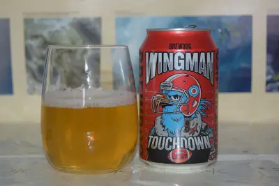 AleDegustation's photo of Wingman - Lager