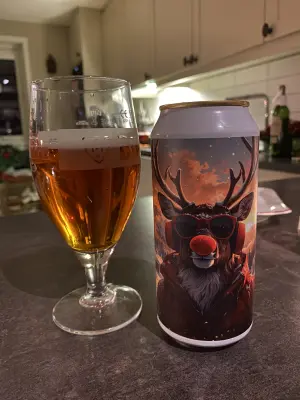 IpaPils's photo of Julebrygd