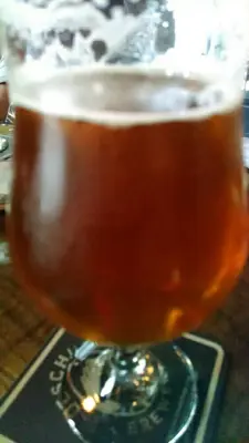 Dogbrick's photo of Lasso IPA