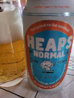 danlo's photo of Another Lager