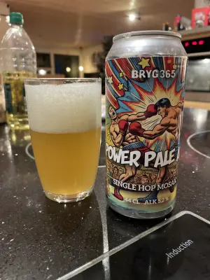Ken1's photo of Power Pale Ale