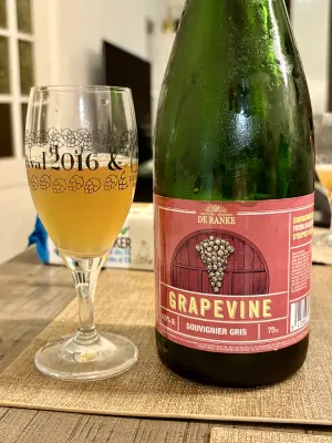 jimgreen's photo of Grapevine - Souvignier Gris