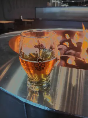stevoj's photo of DDH West Coast Pilsner