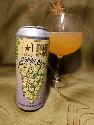 Pindolaire's photo of Sauvignon Blanche