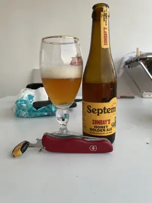 pleis's photo of Sunday's Honey Golden Ale