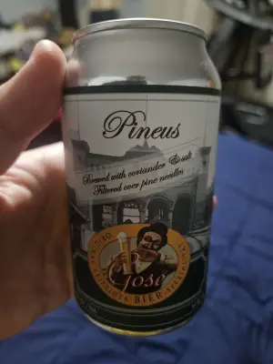 Staleandfunny's photo of Pineus Gose