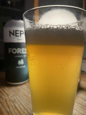 jhaase's photo of Forest IPA