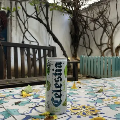 kurtthomsen's photo of Celestia Mojito