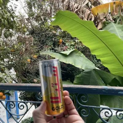 kurtthomsen's photo of Stella Gold