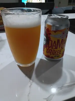 solidfunk's photo of Damn Yankee IPA
