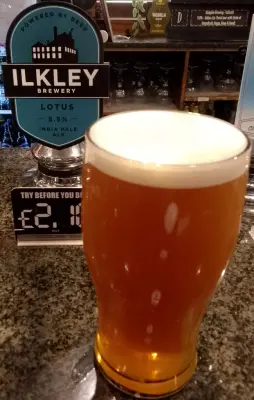 Deanso's photo of Lotus IPA