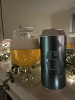CraftBeerNick's photo of Elevated Green