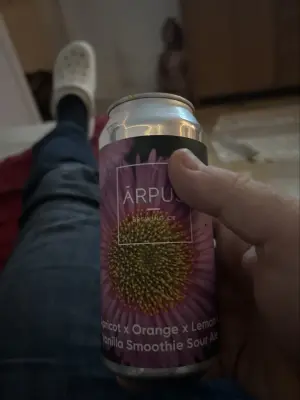 Nisse666's photo of Apricot x Orange x Lemon x Vanilla Smoothie Sour Ale