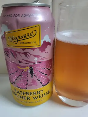 danlo's photo of Raspberry Berliner Weisse