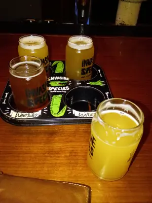 solidfunk's photo of Undead IPA
