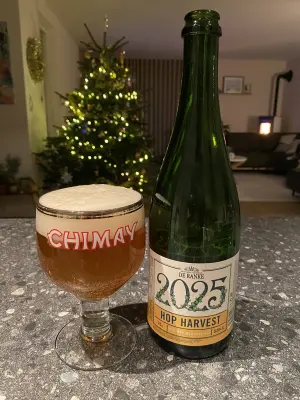 Borresteijn's photo of Hop Harvest 2025
