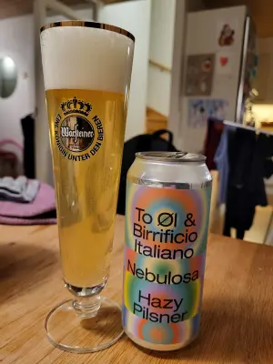 brnandersen's photo of Nebulosa Hazy Pilsner