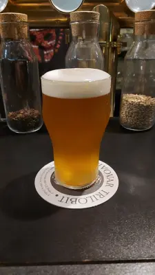 Gurthnar's photo of Nautilus IPA